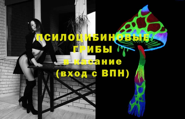 СК Алзамай