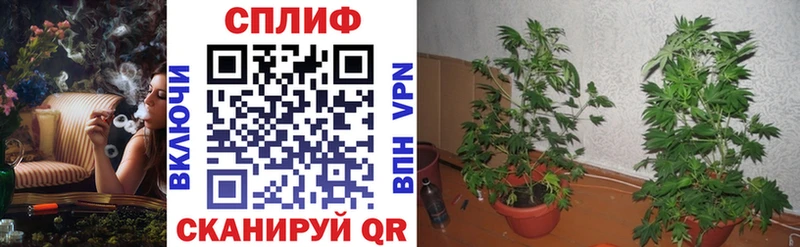 Конопля THC 21%  сколько стоит  Рыльск 